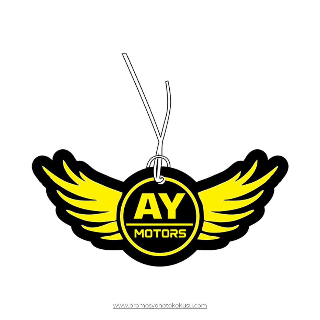 Promosyon Oto Kokusu