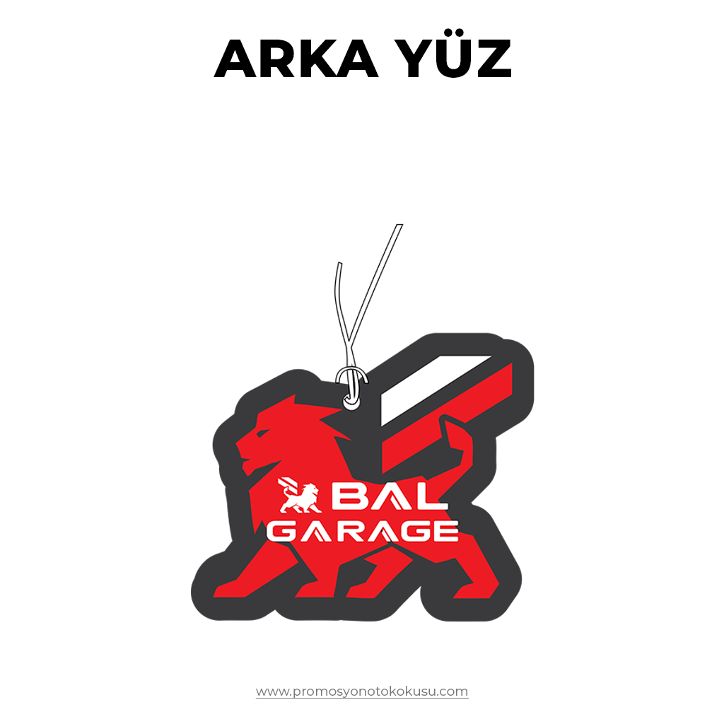 Promosyon Oto Kokusu