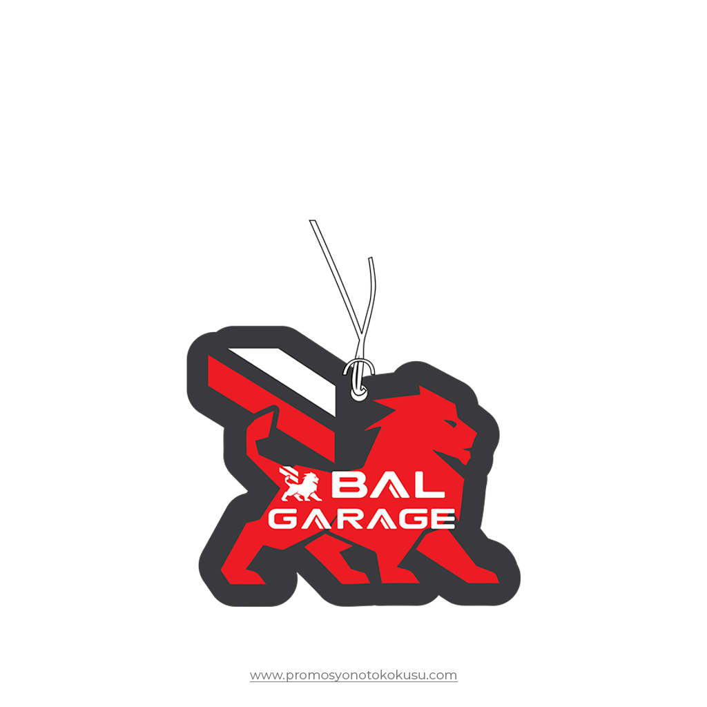 Promosyon Oto Kokusu