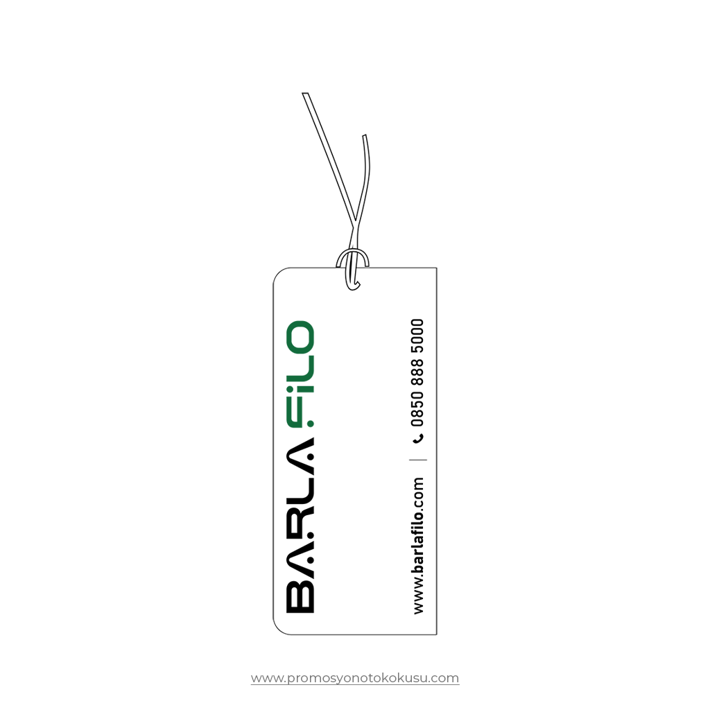 Promosyon Oto Kokusu